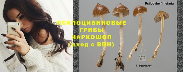 спиды Бикин