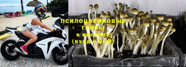 MDMA Осинники