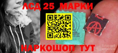 дмт Кингисепп