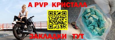 дмт Кингисепп