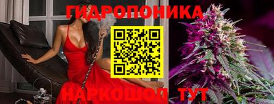 дмт Кингисепп