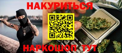 дмт Кингисепп