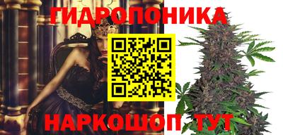 дмт Кингисепп