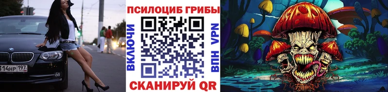 наркошоп  Железногорск  Галлюциногенные грибы GOLDEN TEACHER 
