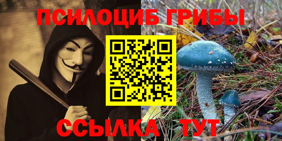 Псилоцибиновые грибы Cubensis  Вход с VPN  Железногорск 