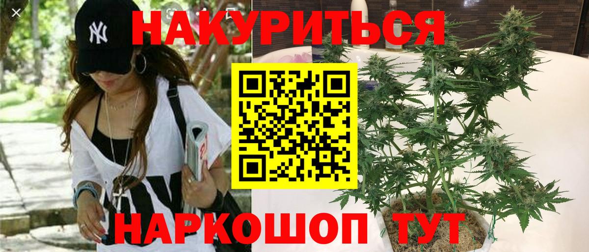 Конопля семена  Шишки марихуана индика  Вход с VPN  Бошки марихуана AK-47  Железногорск  Шишки марихуана марихуана 